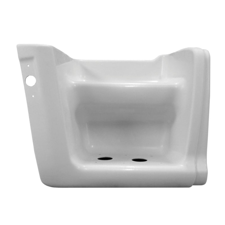 Estribo Ford Cargo 2000 a 2011 Fibra