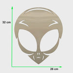 Acabamento Inox ET Extraterrestre Cromado Caminhão Amil