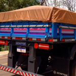 Faixa Adesiva Carreta 4 Eixos Scania 113 - 33 Peças