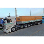 Faixa Adesiva Scania 113 Top Line Verde/Pink - 27 Peças